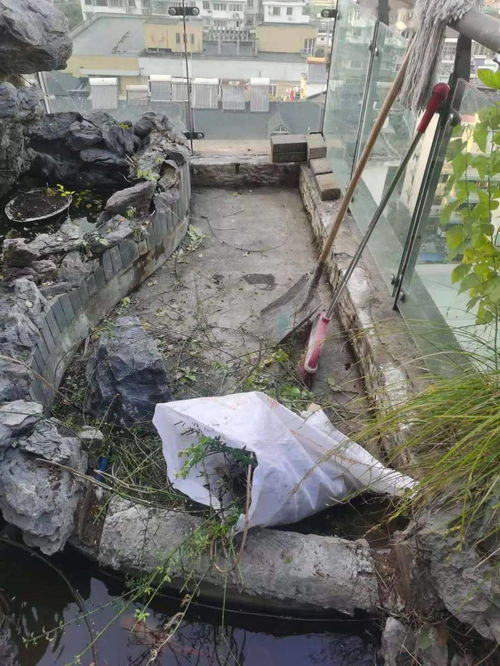 防偽升級(jí)與標(biāo)準(zhǔn)革新 家裝防水行業(yè)的品質(zhì)進(jìn)階之路